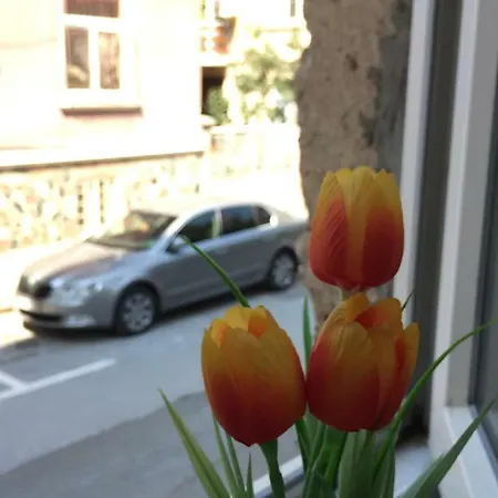 August 11 Apartamento Sofía